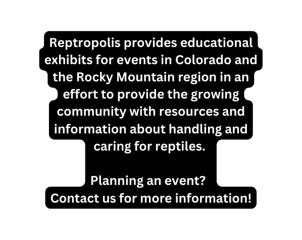 Reptropolis provides educational exhibits for events in Colorado and the Rocky Mountain region in an effort to provide the growing community with resources and information about handling and caring for reptiles Planning an event Contact us for more information